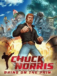 game pic for Chuck Norris: Bring On The Pain